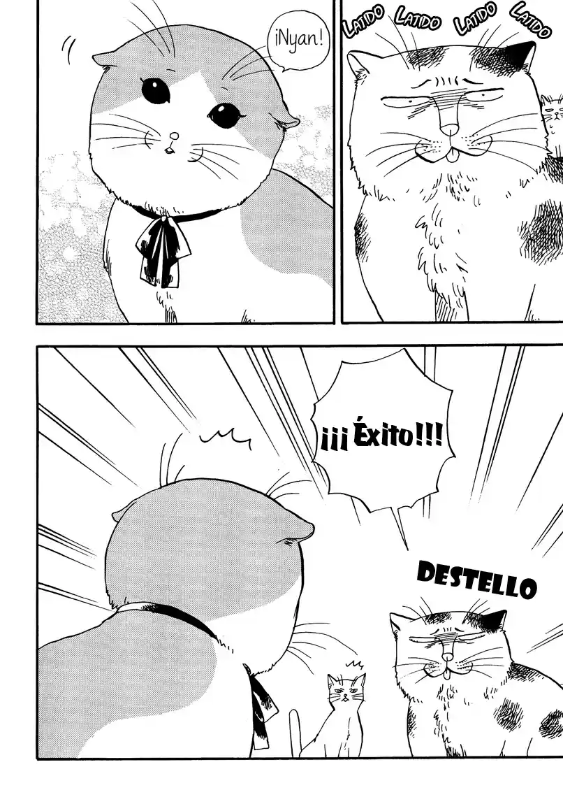 Ore Wa Busamen - Neko Tsudzuri - Capítulo 3 - Página 2 - LectorTMOo