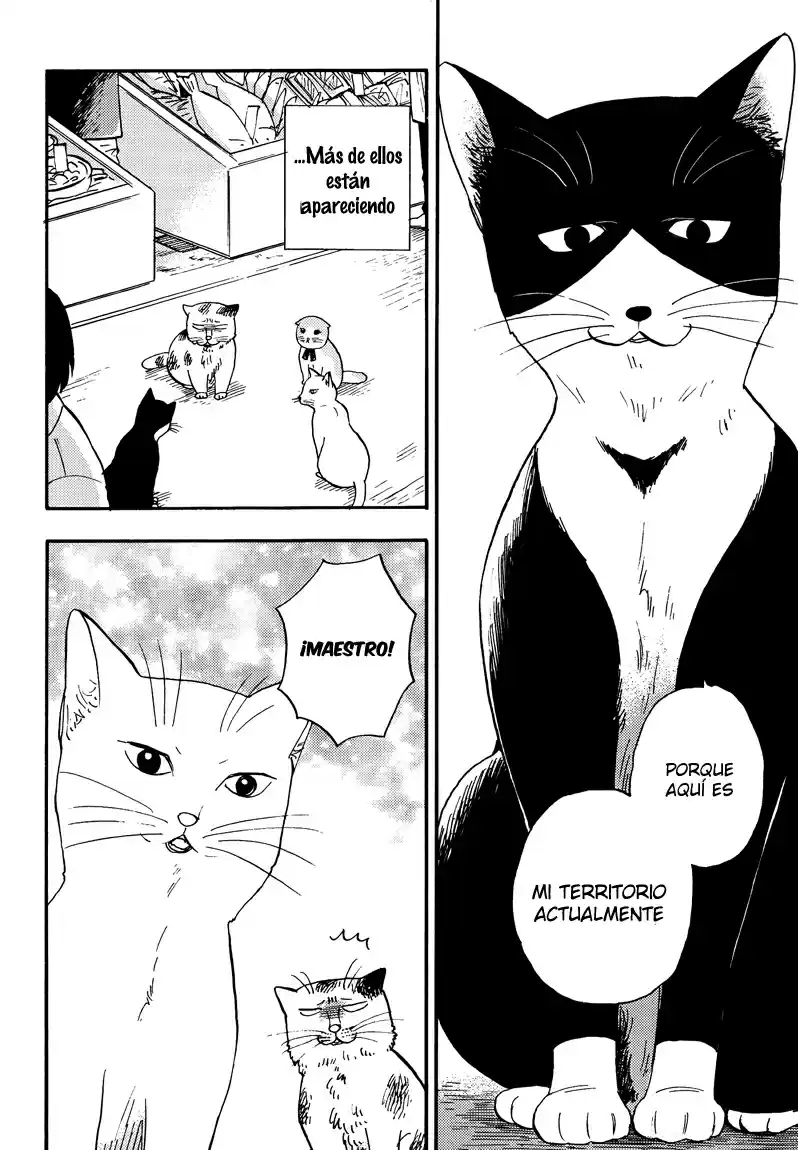 Ore Wa Busamen - Neko Tsudzuri - Capítulo 3 - Página 16 - LectorTMOo