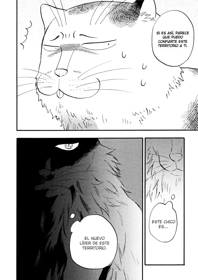 Ore Wa Busamen - Neko Tsudzuri - Capítulo 4 - Página 18 - LectorTMOo