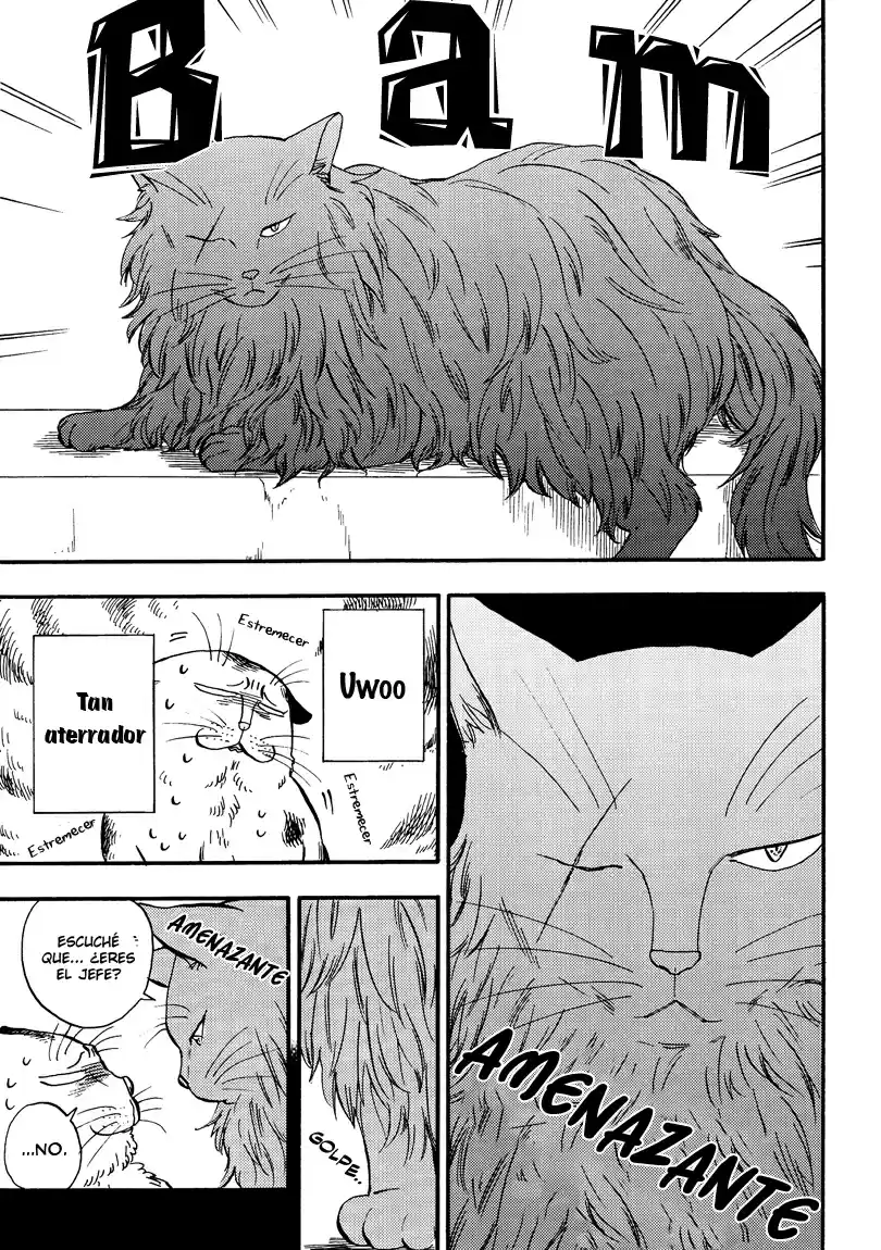 Ore Wa Busamen - Neko Tsudzuri - Capítulo 5 - Página 5 - LectorTMOo