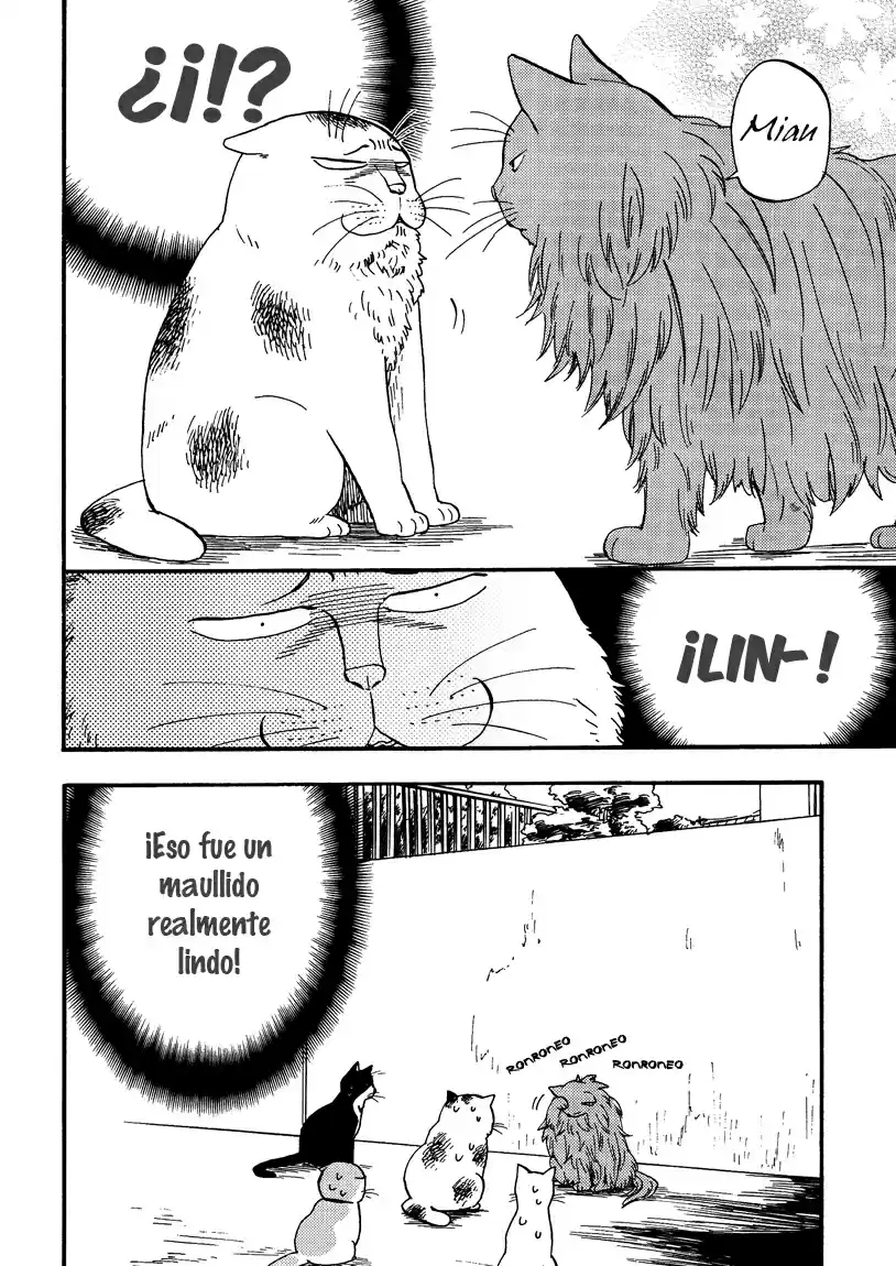 Ore Wa Busamen - Neko Tsudzuri - Capítulo 5 - Página 8 - LectorTMOo