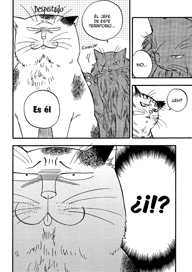 Ore Wa Busamen - Neko Tsudzuri - Capítulo 5 - Página 14 - LectorTMOo