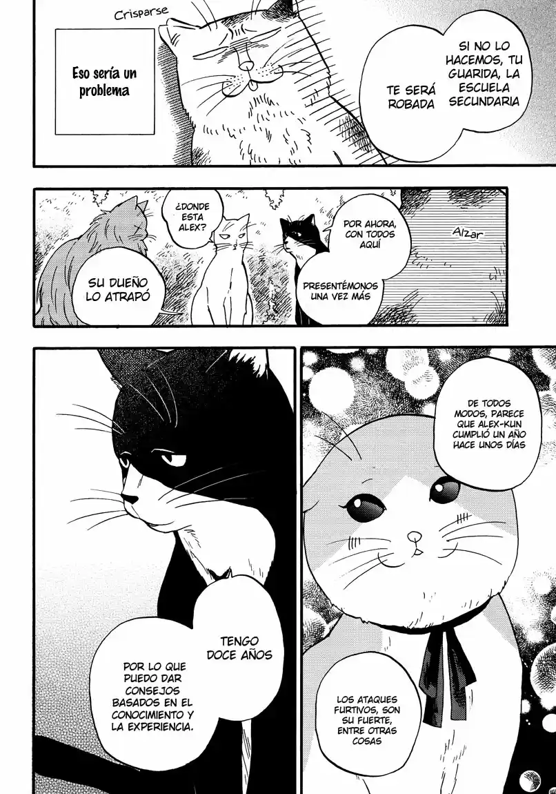 Ore Wa Busamen - Neko Tsudzuri - Capítulo 6 - Página 12 - LectorTMOo