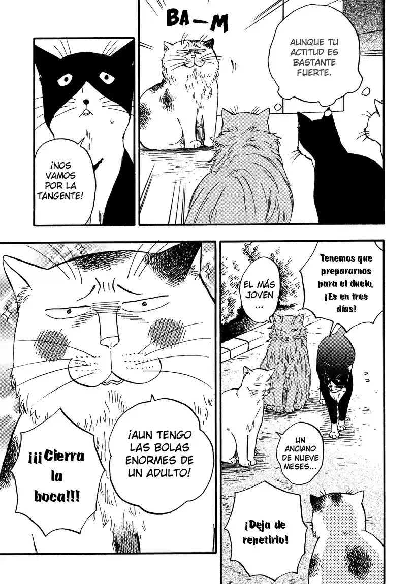 Ore Wa Busamen - Neko Tsudzuri - Capítulo 7 - Página 5 - LectorTMOo