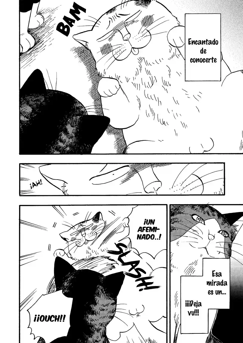 Ore Wa Busamen - Neko Tsudzuri - Capítulo 7 - Página 8 - LectorTMOo