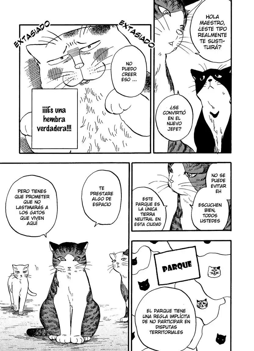 Ore Wa Busamen - Neko Tsudzuri - Capítulo 7 - Página 9 - LectorTMOo