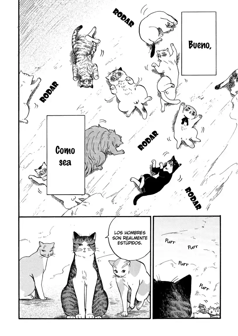 Ore Wa Busamen - Neko Tsudzuri - Capítulo 8 - Página 15 - LectorTMOo