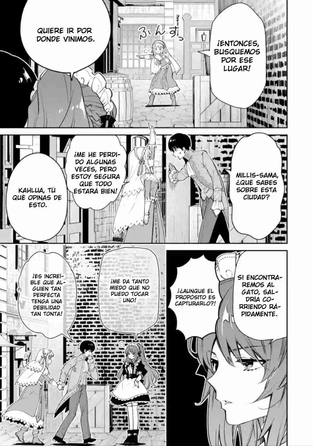 Ore Wa Kage No Eiyuu Ja Arimasen! Sekai Kusshi No Majutsushi?...... Nani Sore - Capítulo 5.20 - Página 13 - LectorTMOo