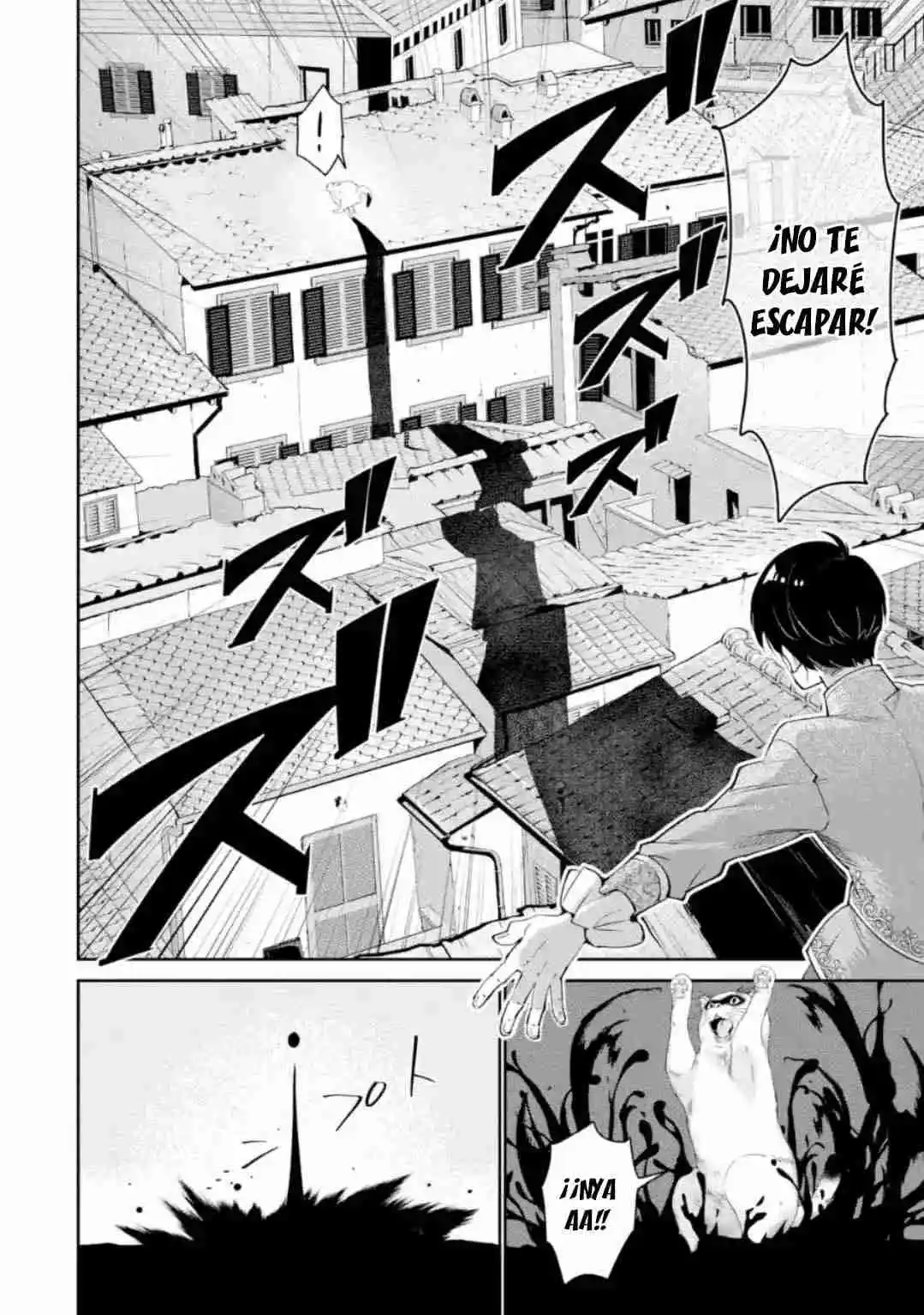 Ore Wa Kage No Eiyuu Ja Arimasen! Sekai Kusshi No Majutsushi?...... Nani Sore - Capítulo 5.30 - Página 12 - LectorTMOo