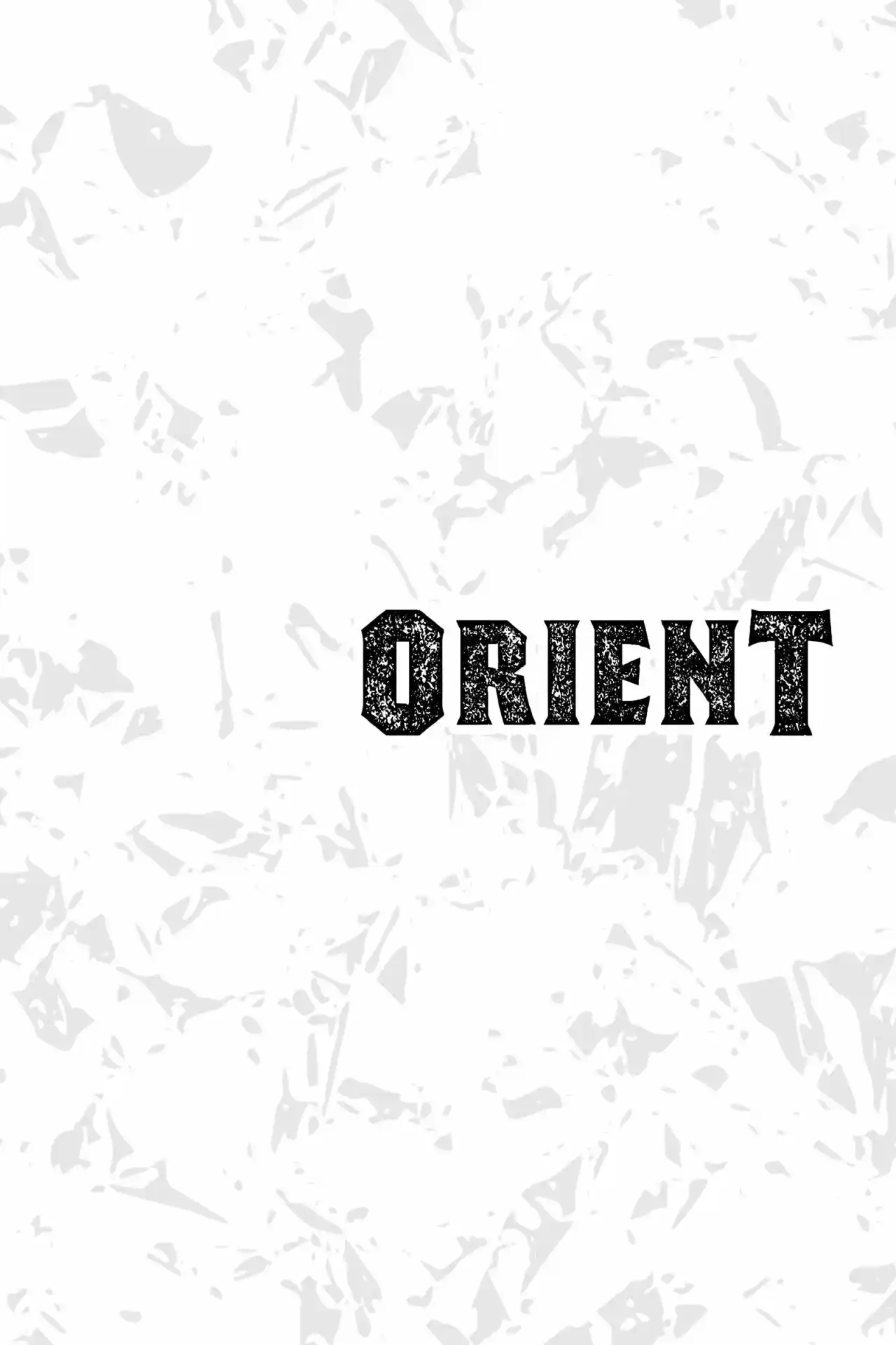 Orient - Capítulo 98 - Página 22 - LectorTMOo