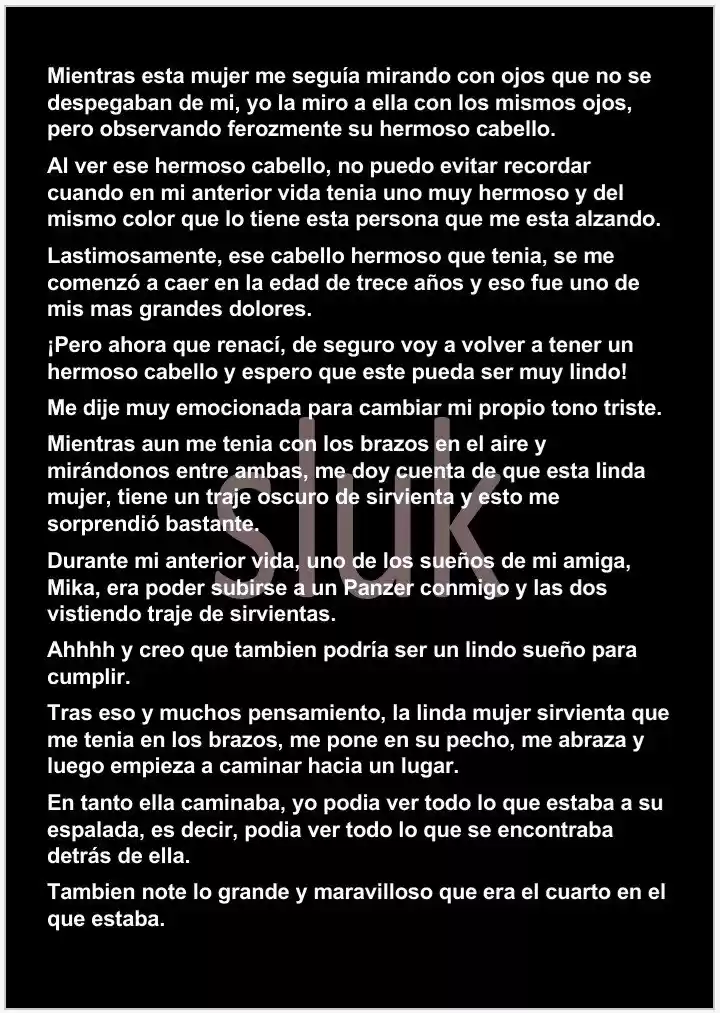 Panzerschlacht (Novela) - Capítulo 3 - Página 4 - LectorTMOo