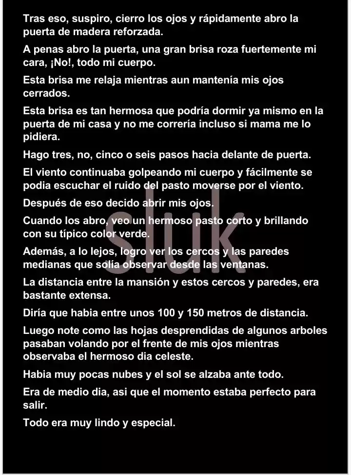 Panzerschlacht (Novela) - Capítulo 8 - Página 5 - LectorTMOo