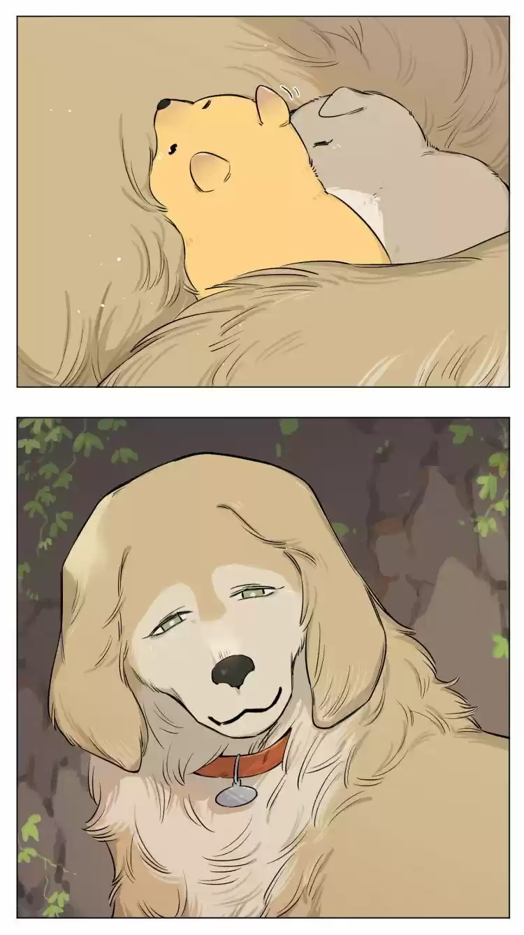Papa Wolf And The Puppy - Capítulo 13 - Página 8 - LectorTMOo