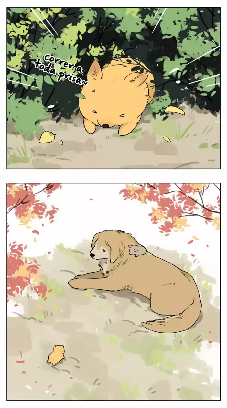 Papa Wolf And The Puppy - Capítulo 13 - Página 21 - LectorTMOo