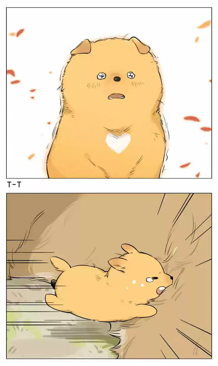 Papa Wolf And The Puppy - Capítulo 13 - Página 22 - LectorTMOo
