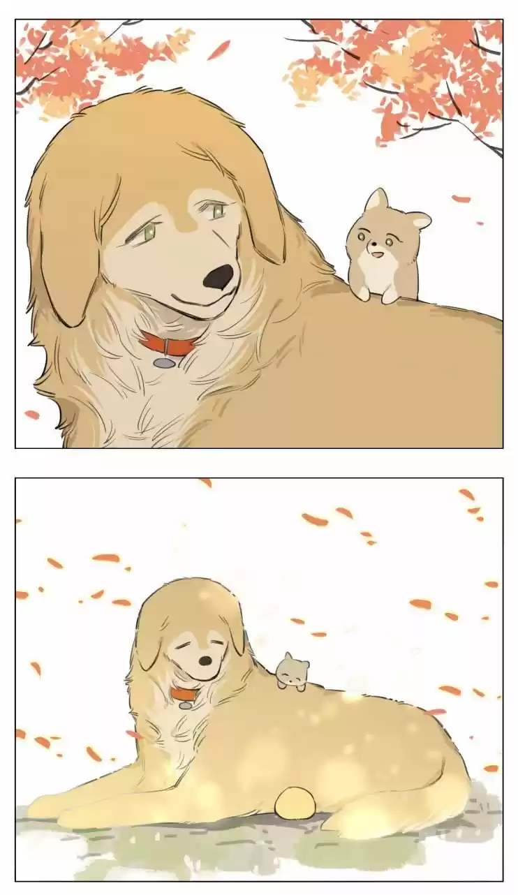 Papa Wolf And The Puppy - Capítulo 13 - Página 23 - LectorTMOo