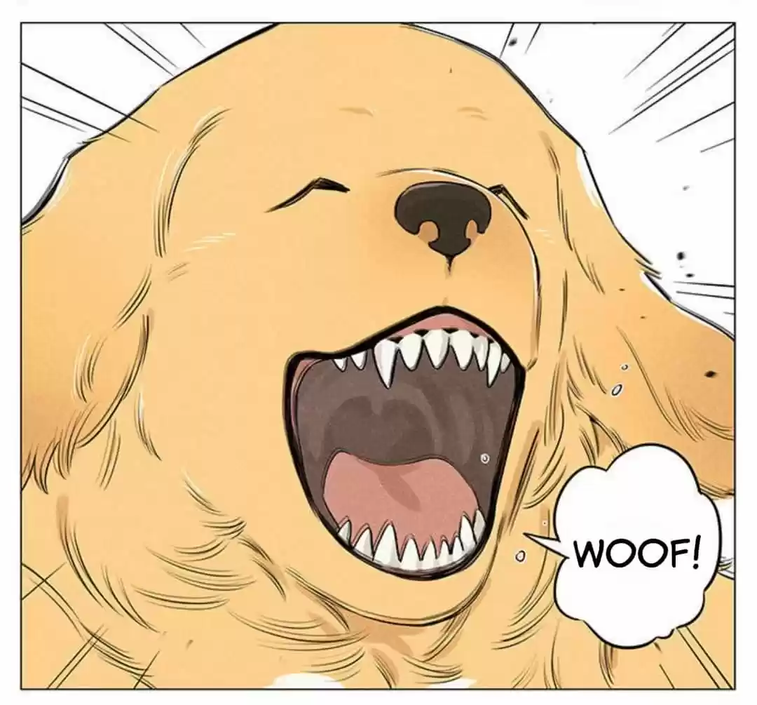 Papa Wolf and The Puppy - Capítulo 23 - Página 11 - LectorTMOo