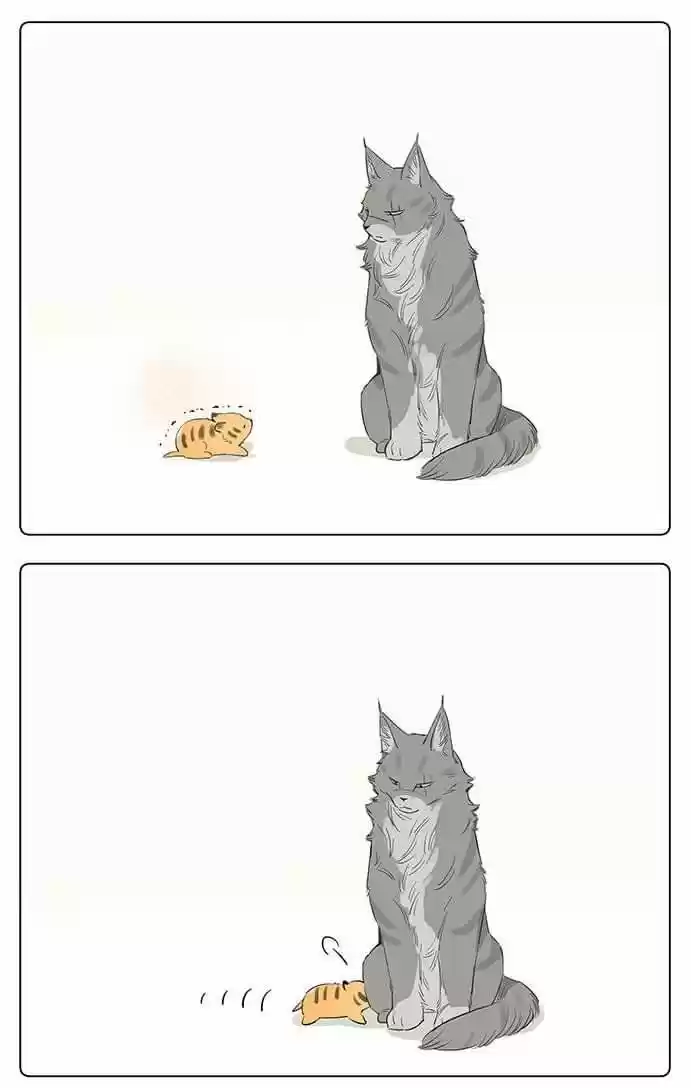 Papa Wolf And The Puppy - Capítulo 32.50 - Página 5 - LectorTMOo