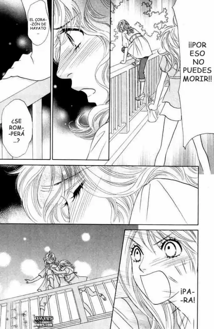 Papillon - Hana To Chou - Capítulo 31 - Página 29 - LectorTMOo