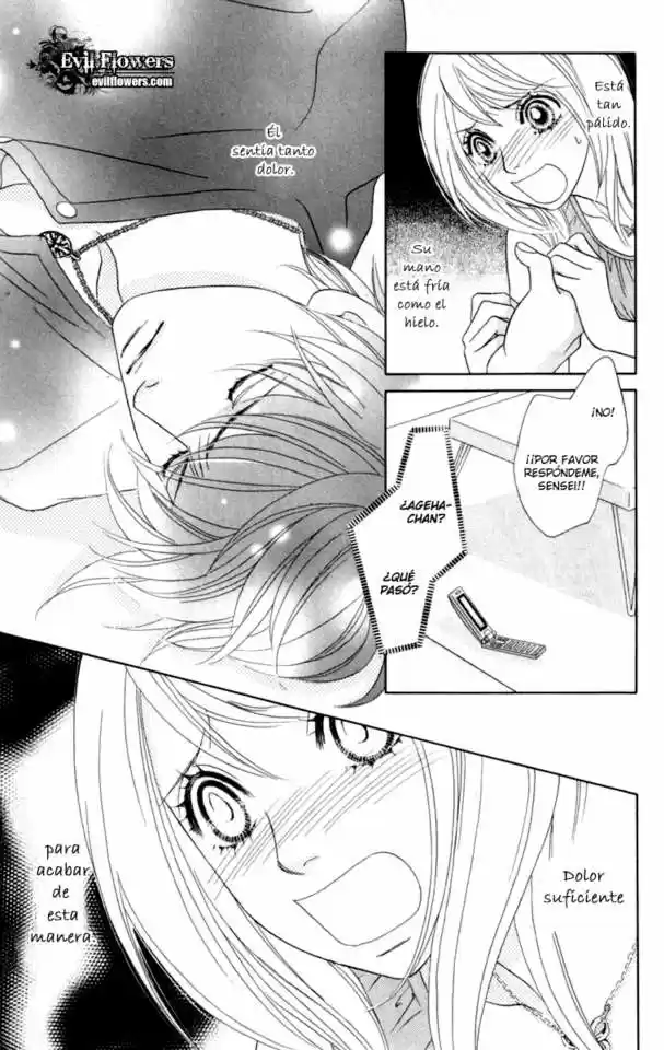Papillon - Hana To Chou - Capítulo 35 - Página 31 - LectorTMOo