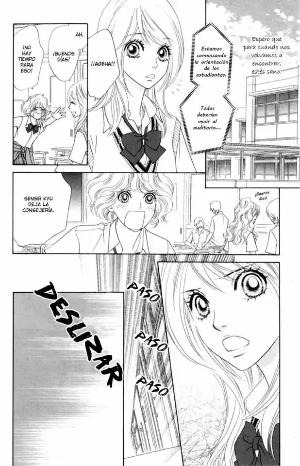 Papillon - Hana To Chou - Capítulo 37 - Página 17 - LectorTMOo