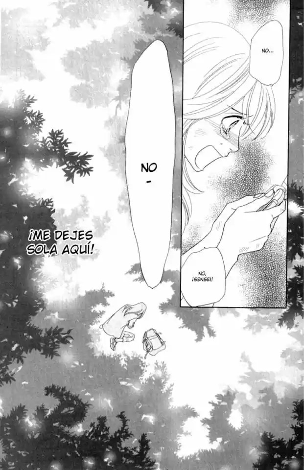 Papillon - Hana To Chou - Capítulo 38 - Página 33 - LectorTMOo
