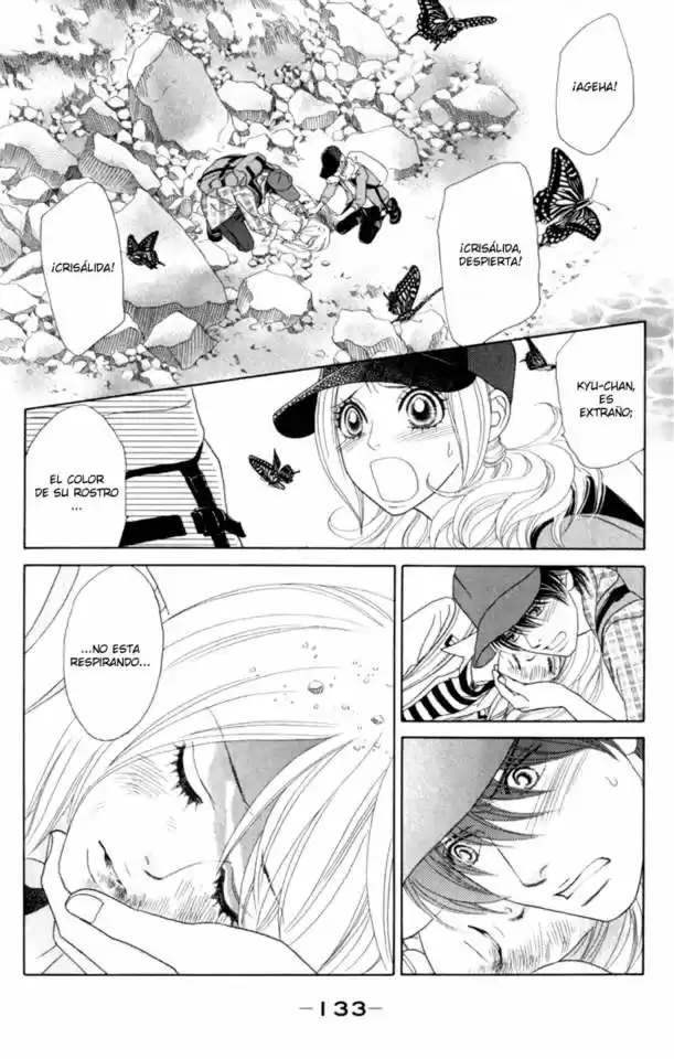 Papillon - Hana To Chou - Capítulo 40 - Página 4 - LectorTMOo