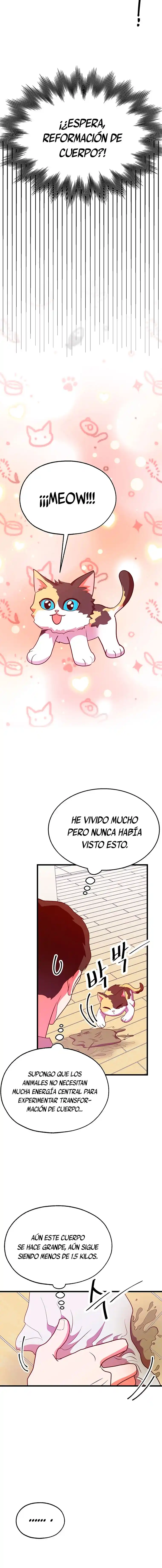 Pastelería Del Demonio Celestial - Capítulo 32 - Página 11 - LectorTMOo