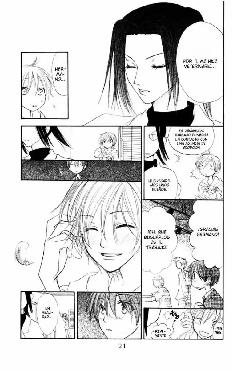 PENGUIN KAKUMEI - Capítulo 11 - Página 21 - LectorTMOo