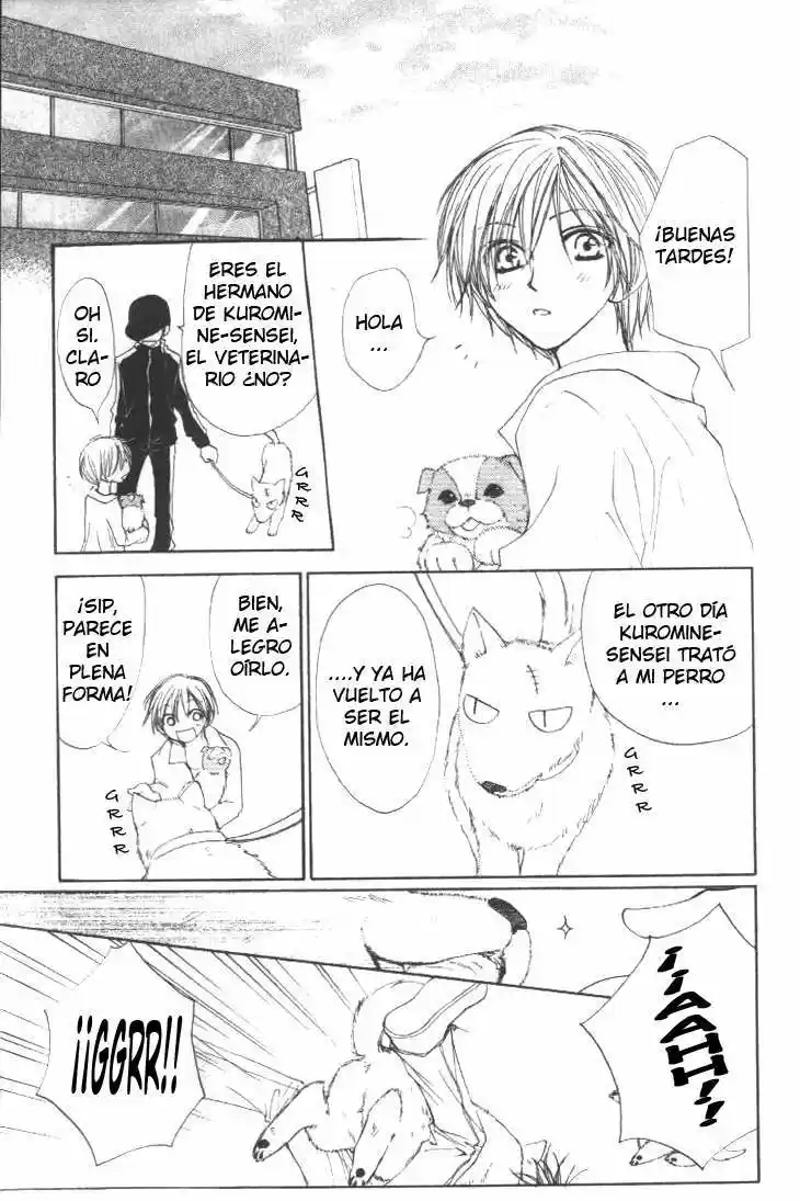 PENGUIN KAKUMEI - Capítulo 16 - Página 22 - LectorTMOo
