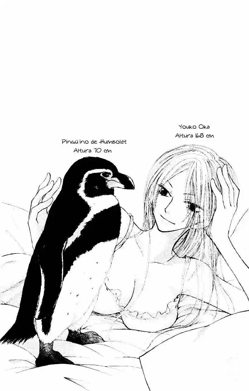 PENGUIN KAKUMEI - Capítulo 30 - Página 30 - LectorTMOo