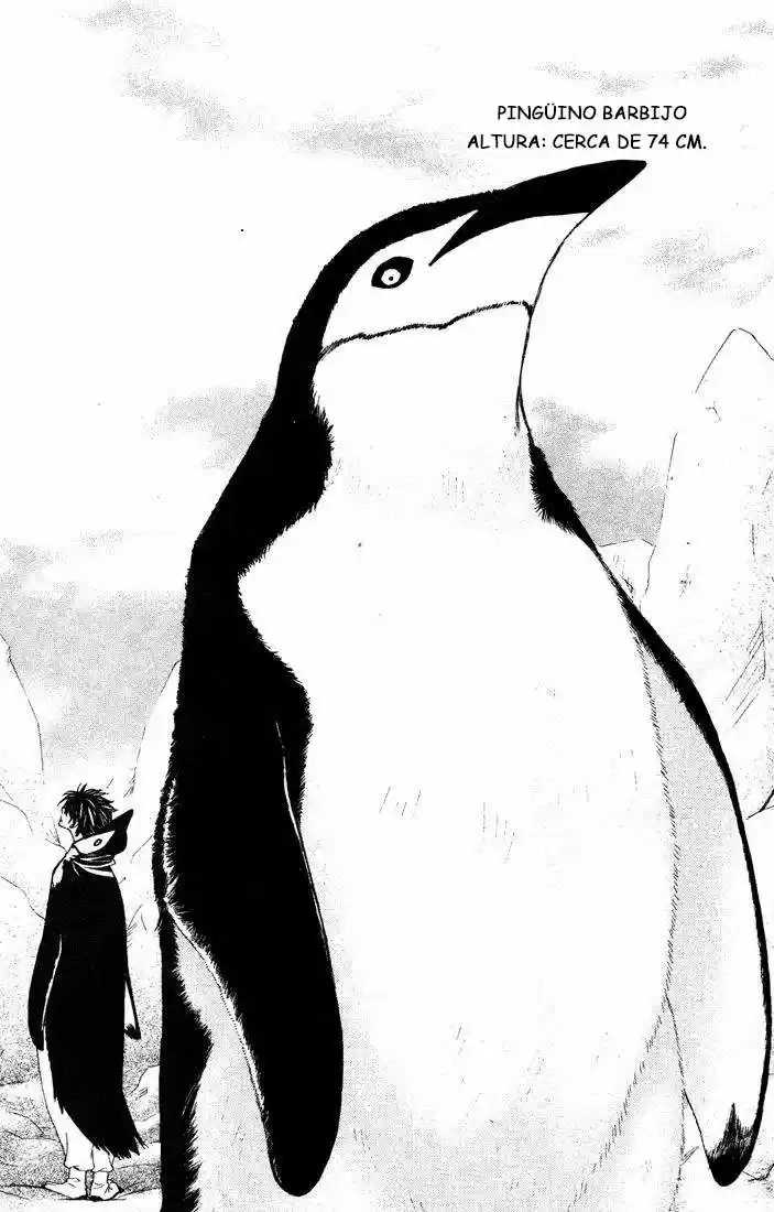 PENGUIN KAKUMEI - Capítulo 32 - Página 28 - LectorTMOo