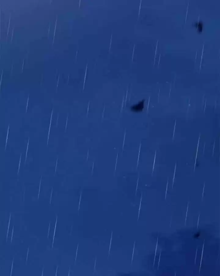 Pequeña Lluvia - Capítulo 10 - Página 48 - LectorTMOo