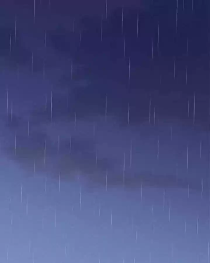 Pequeña Lluvia - Capítulo 10 - Página 55 - LectorTMOo