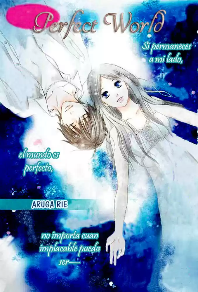 Perfect World (Aruga Rie) - Capítulo 1 - Página 3 - LectorTMOo