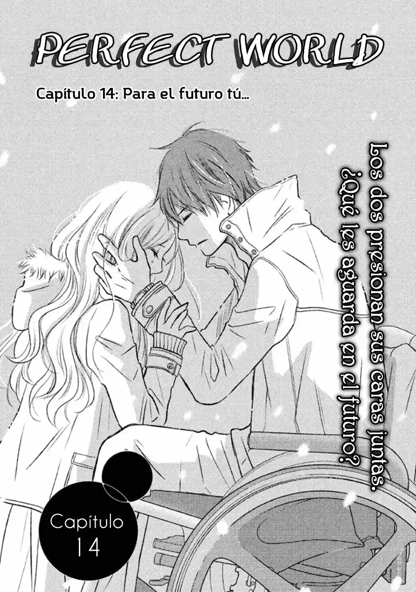 Perfect World (Aruga Rie) - Capítulo 14 - Página 5 - LectorTMOo
