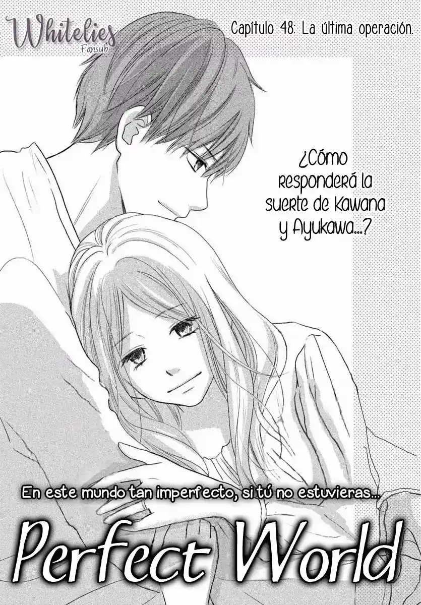 Perfect World (Aruga Rie) - Capítulo 48 - Página 3 - LectorTMOo