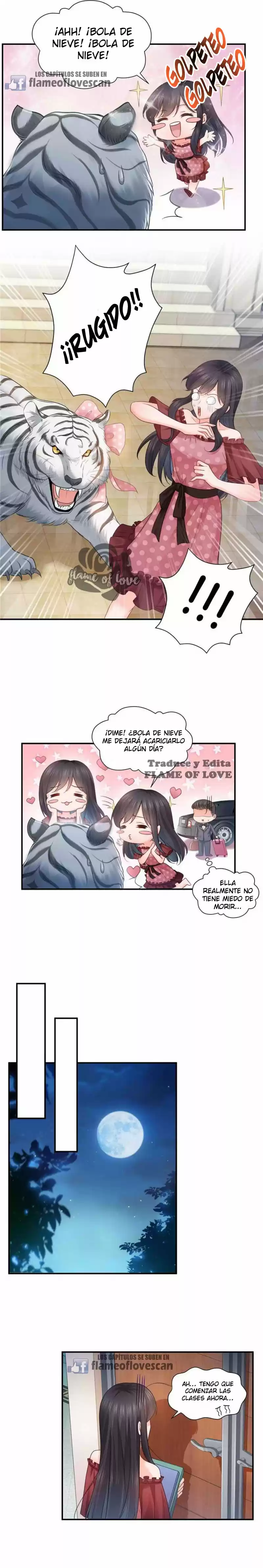 Perfecto amor secreto: La nueva esposa malvada es una pequeña dulzura - Capítulo 64 - Página 11 - LectorTMOo