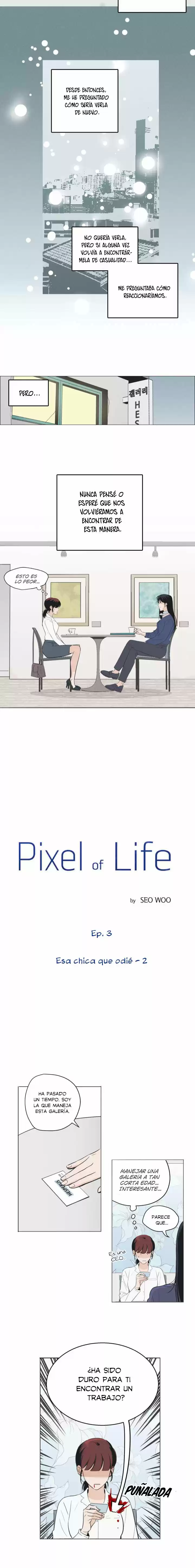Pixel Of Life - Capítulo 3 - Página 4 - LectorTMOo