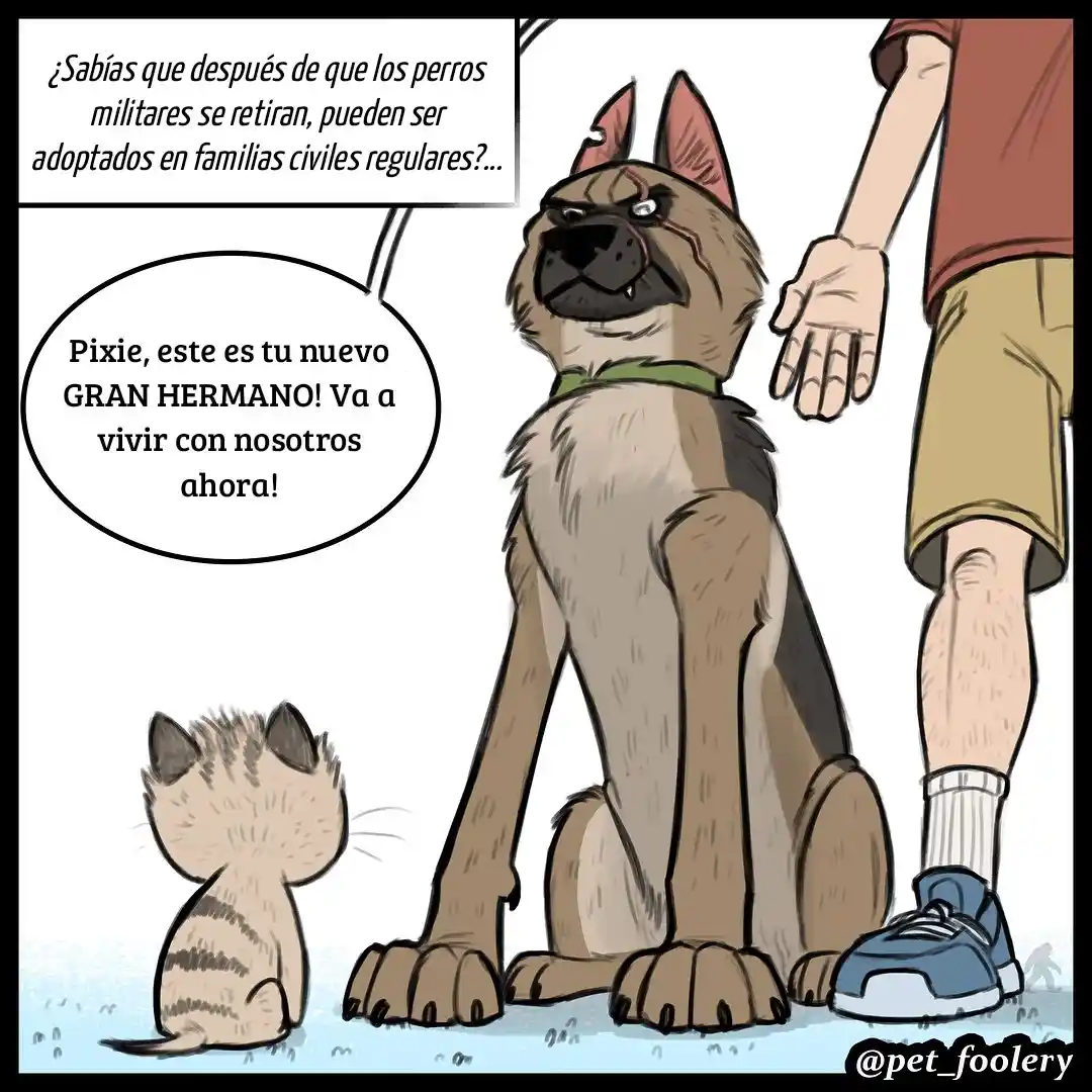 Pixie And Brutus - Capítulo 1 - Página 1 - LectorTMOo