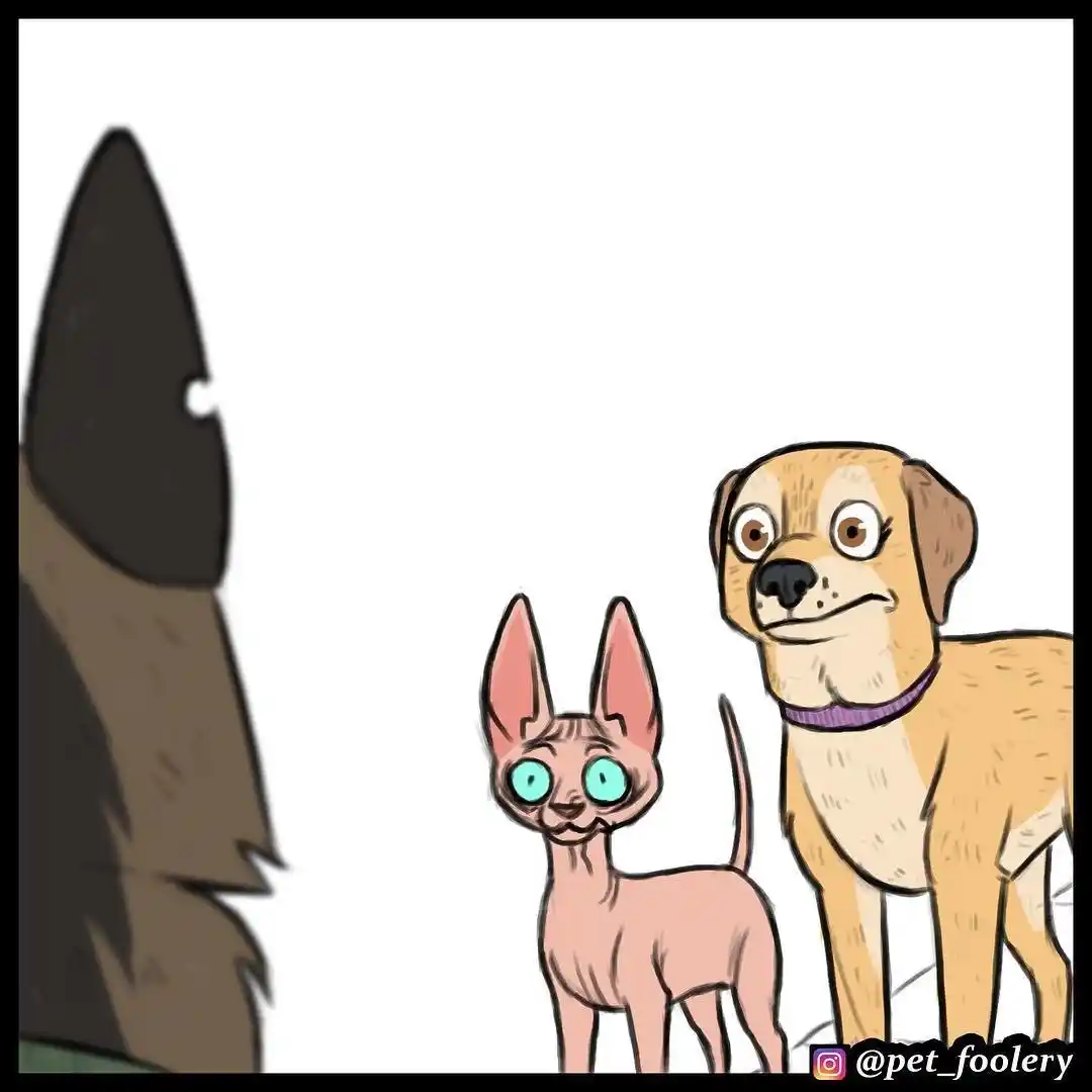 Pixie And Brutus - Capítulo 12 - Página 5 - LectorTMOo