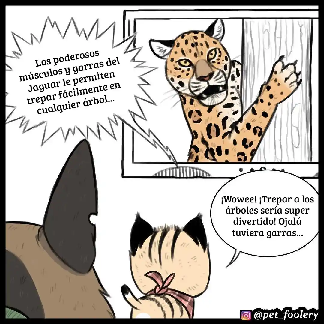 Pixie And Brutus - Capítulo 14 - Página 1 - LectorTMOo