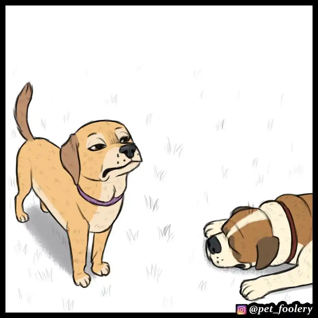 Pixie And Brutus - Capítulo 15 - Página 4 - LectorTMOo