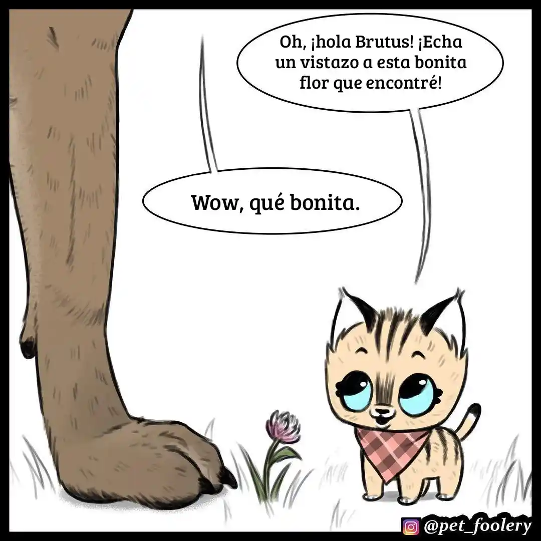 Pixie And Brutus - Capítulo 16 - Página 4 - LectorTMOo
