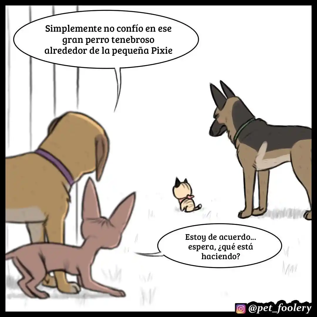 Pixie And Brutus - Capítulo 17 - Página 1 - LectorTMOo