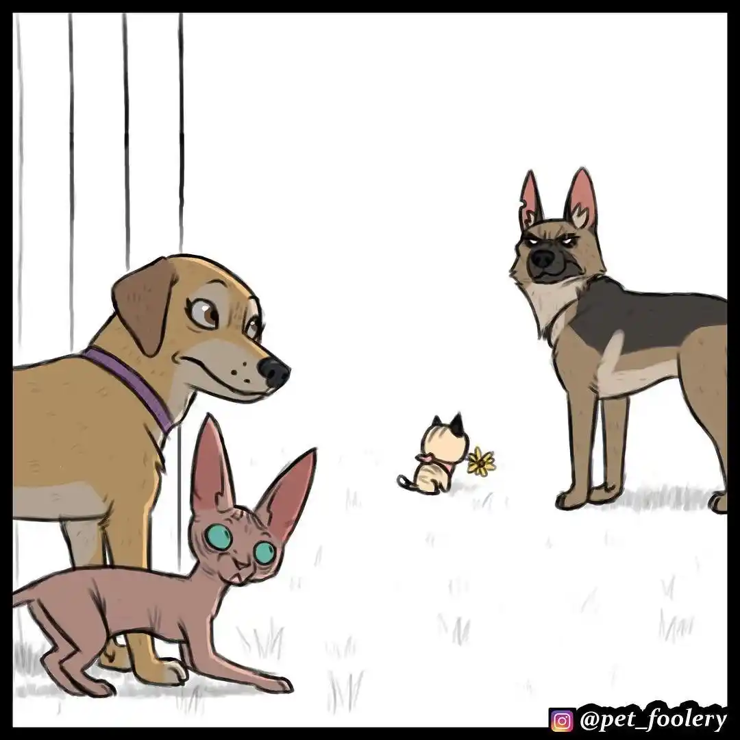 Pixie And Brutus - Capítulo 17 - Página 4 - LectorTMOo