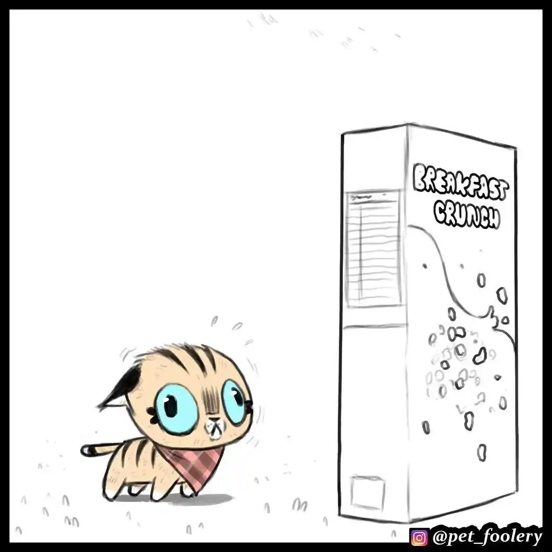 Pixie And Brutus - Capítulo 19 - Página 6 - LectorTMOo