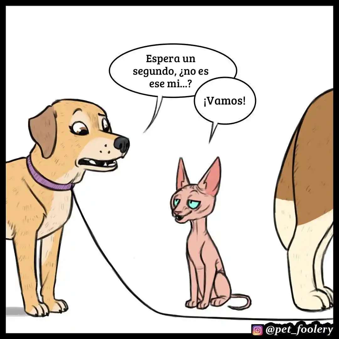 Pixie And Brutus - Capítulo 23 - Página 5 - LectorTMOo