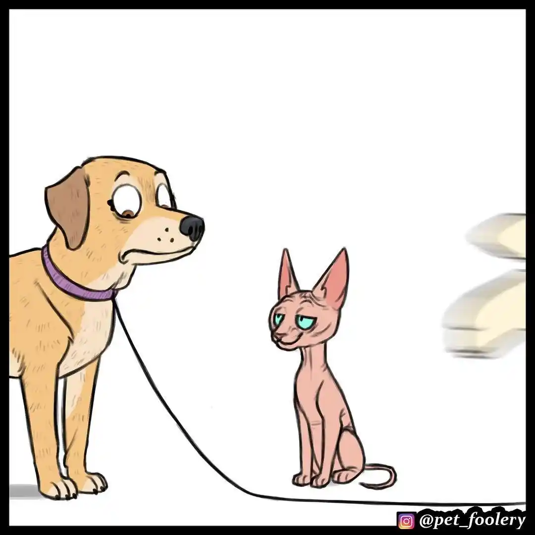 Pixie And Brutus - Capítulo 23 - Página 6 - LectorTMOo