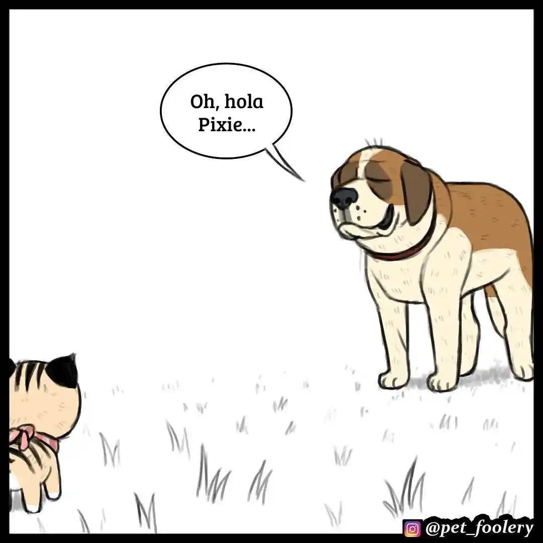 Pixie And Brutus - Capítulo 25 - Página 2 - LectorTMOo